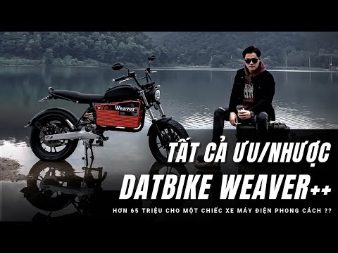 Datbike Weaver ++
