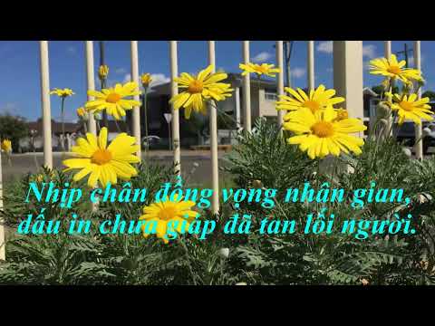 Vết roi nhục hình - Duy Linh