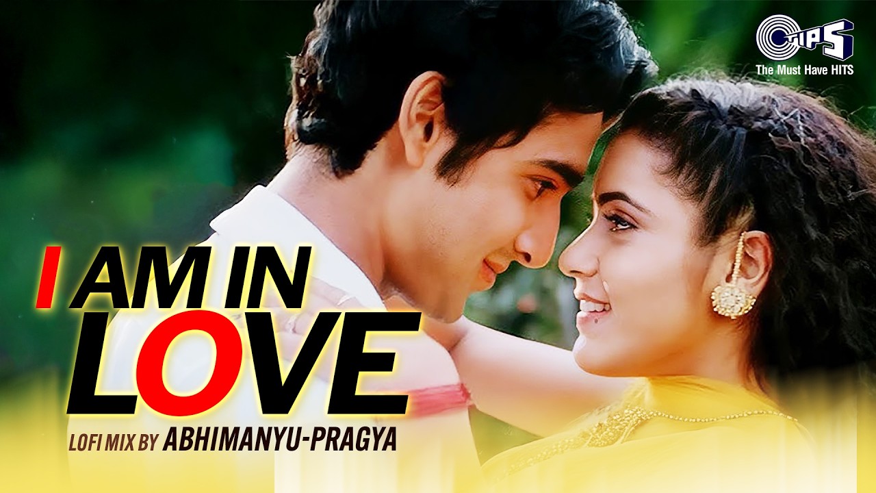I Am In Love - Lofi Mix | Yeh Dil Aashiqana | Karan Nath & Jividha | Kumar Sanu, Alka Yagnik