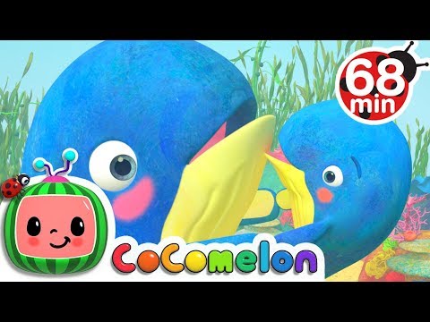 Mom and Baby Blue Whale Lullaby Song + More Nursery Rhymes & Kids Songs - CoComelon