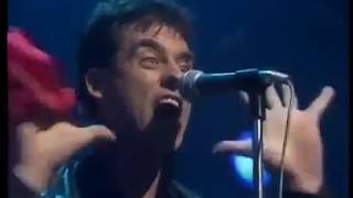 The Angels - Poor Baby