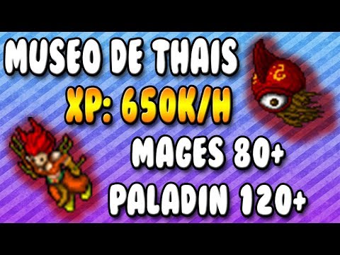 MAGES 80+ o RP 120+ | Museo de Thais "MOTA" | Tibia