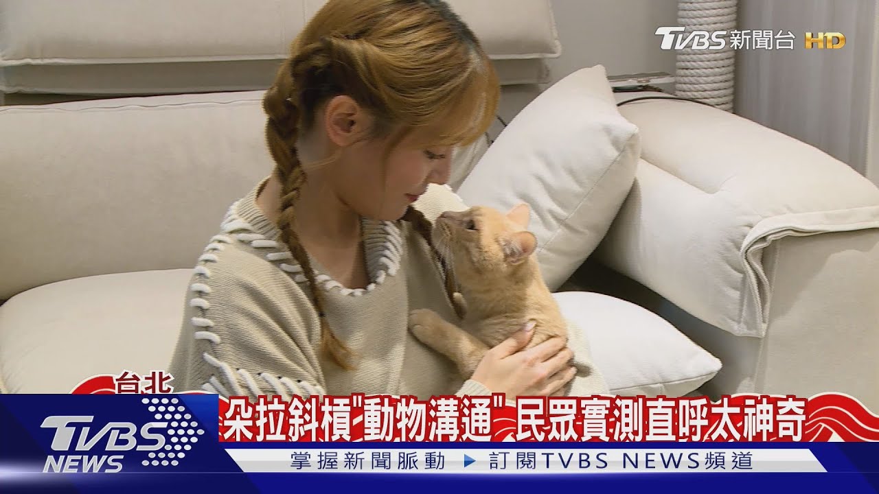 朵拉斜槓「動物溝通」親曝能與已逝寵物連線! 民眾直呼太神奇