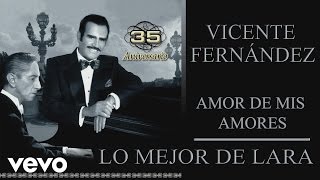Vicente Fernández - Amor de Mis Amores (Cover Audio)