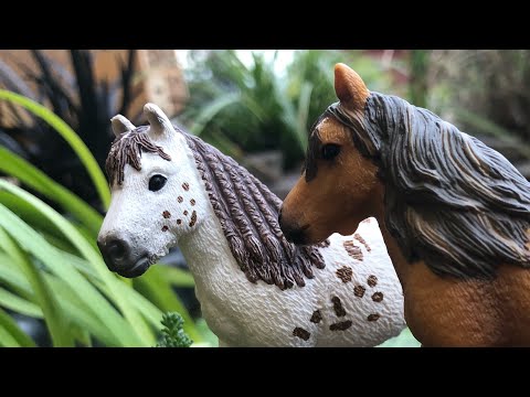 |Schleich| Collection tour~ Říjen 2021