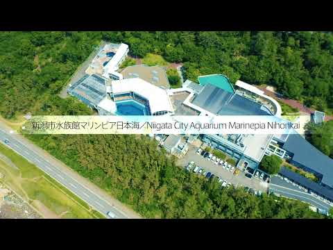 【新潟観光】新潟市水族館マリンピア日本海