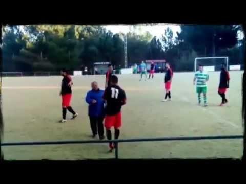 Loureiro C.F. - Pontedeva