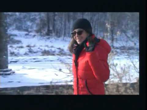 LE ROI D'LA MARCHETTE