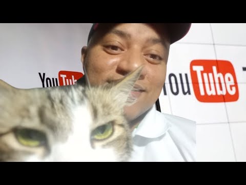 ((3 Mil inscritos em Poucos dias)) o curso pulo do gato funciona  curso o pulo do Gato vale a pena