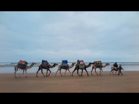 MARRUECOS -TREKKING COSTA ATLÁNTICA 2024-; QUINTA ETAPA"