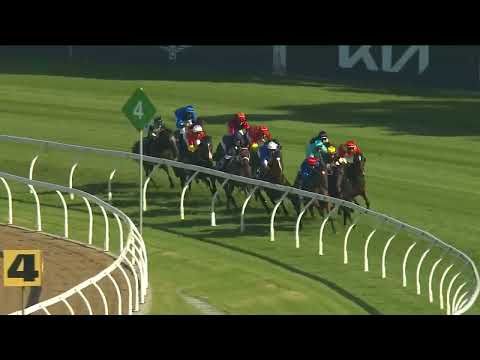 Golden Slipper 2023 - SHINZO (2YO SW G1) Group 1 Rosehill 18 March