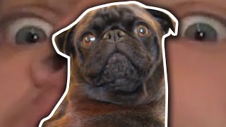 PEWDIPIE QUITS YOUTUBE, EDGAR TAKES OVER.