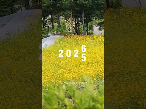 ✨ 2025 상주시 모먼트 총 결산