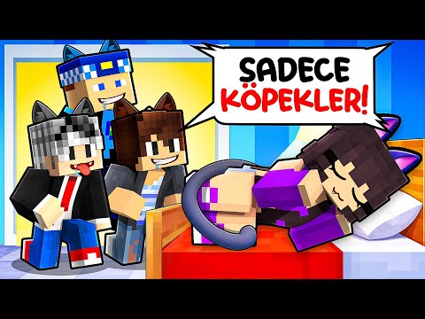 GÖKÇE and Gürol Çalışkan