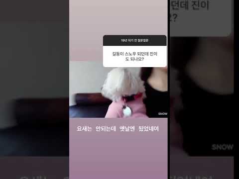 181231 Euijin - Instagram Video