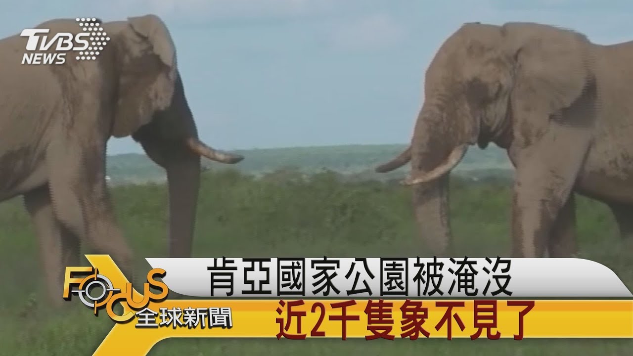 肯亞國家公園暴雨淹沒 近2千隻象不見了