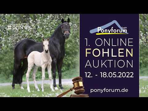 FARBENFROH Stute v. Für immer Du / Mondprinz