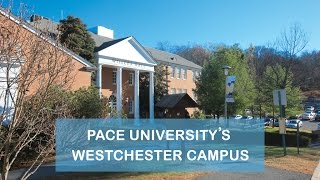 preview picture of video 'Westchester Campus | Pace International'