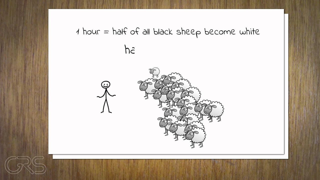 What does the term half-life mean?