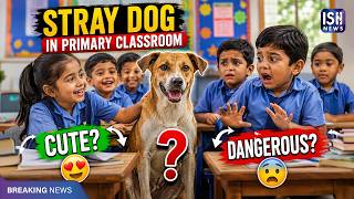 Stray Dog Sitting in Primary Classroom with Other Kids: Cute or Dangerous?