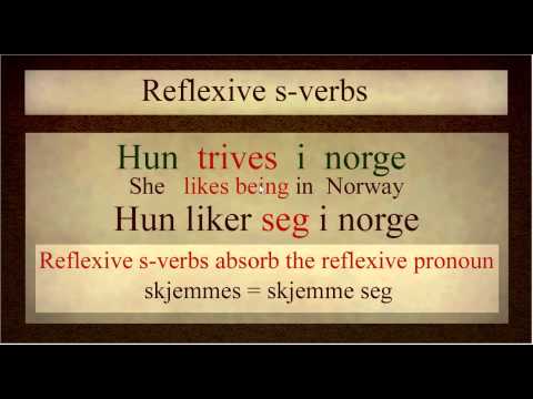 Norwegian Language: S-verbs Explained (bokmål)