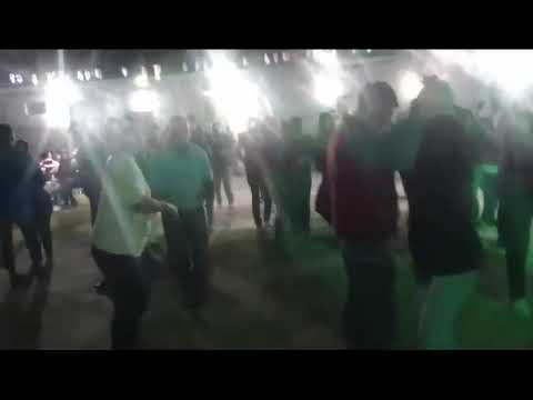 Pali& sus banda fenix