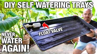 DIY Self Watering Pot Planter Trays