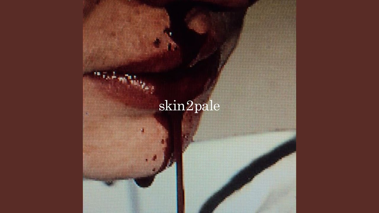 Cover for the song 'skin2pale' by artist(s) 'Nik $ix'