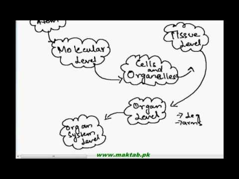 FSc Biology Book1, CH 1, LEC 3: Levels Of Biological Organization-1