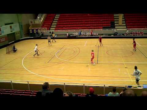 141010 Herrar Div. 2 IBF Backadalen - Lindås IBK (8-5) HD Per2