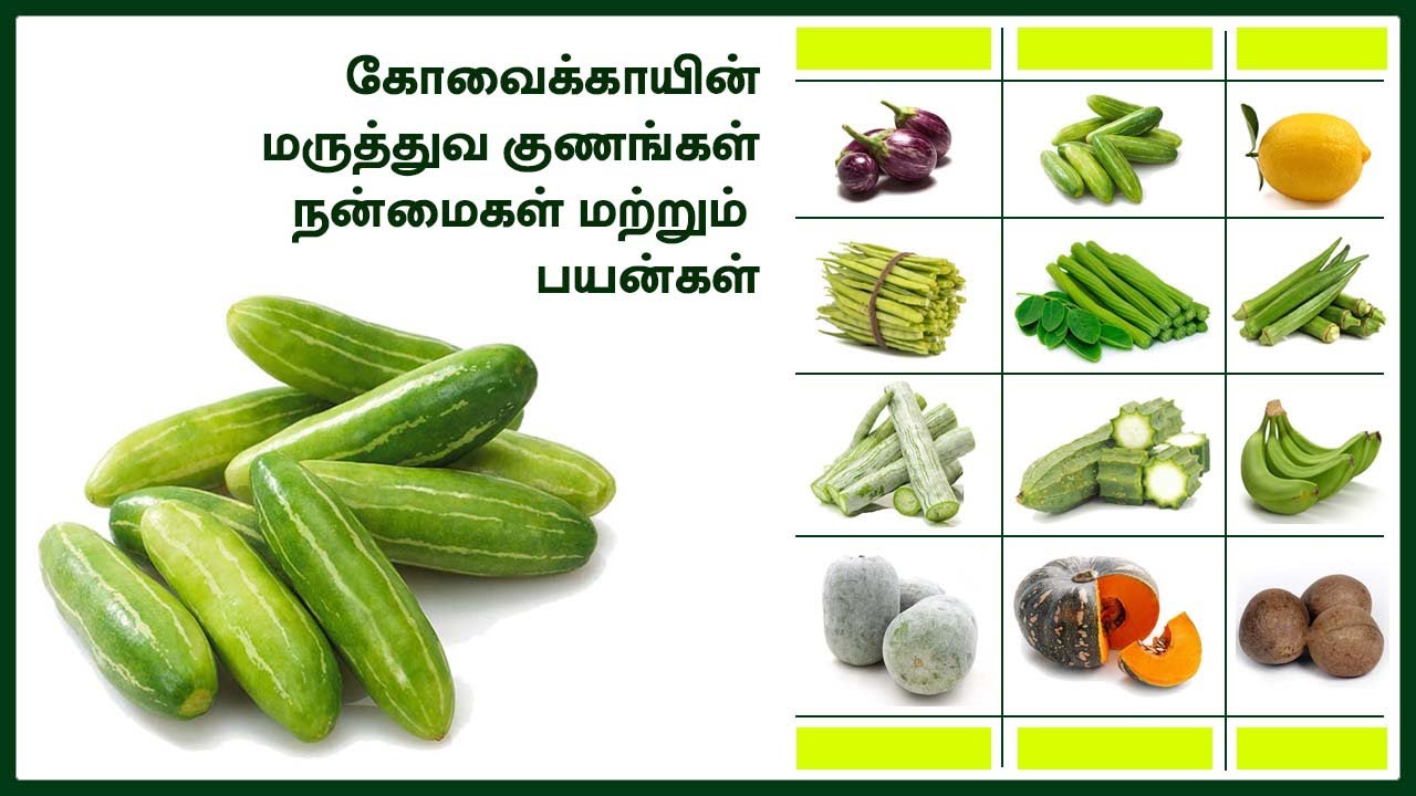 கோவக்காய் | பொரியல் | குழம்பு | வறுவல் | கிரேவி | கூட்டு | ப்ரை | சட்னி|விபரங்களுக்கு : 9994443517