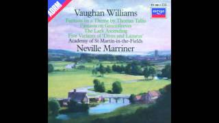 Vaughan Williams - The Lark Ascending