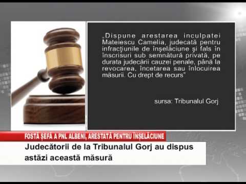 fosta sefa a pnl albeni arestat pentru inselaciune