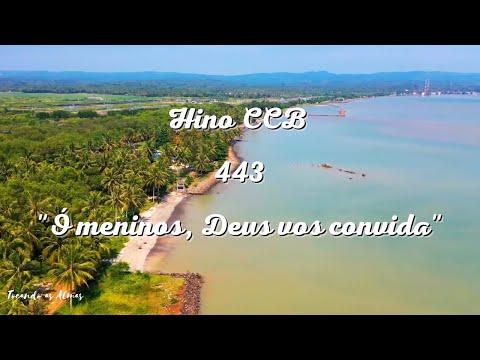 📨Hino 443 CCB “Ó meninos, Deus vos convida”–Hinário 5 Com Letra