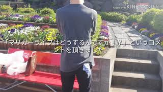 ライブが出来る様になりました