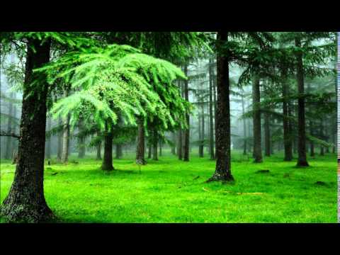 Pronunciation Of Con Que La Lavare