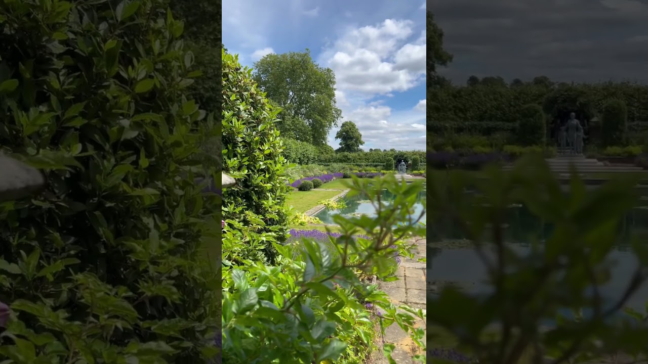 YouTube Short thumbnail