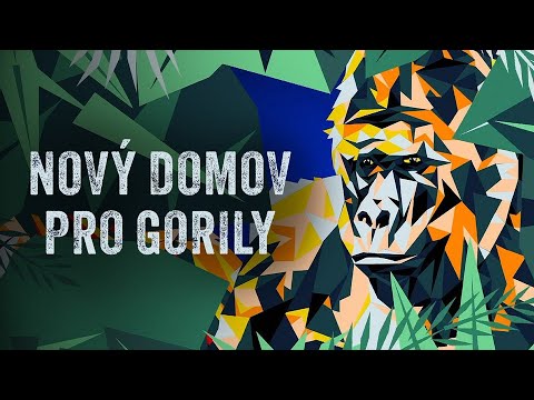 Nový domov pro gorily