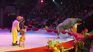 하노이에서 이런공연을 볼수있다고? 1탄 동물들대행진 ㅋㅋㅋㅋㅋ