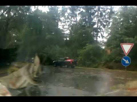 Road clearing after a storm, (JHQ) 2007