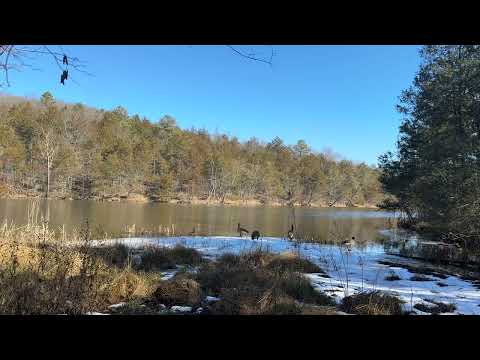 Nobody likes a bully