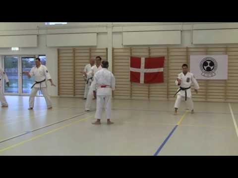 JOSHINKAN ISSHINRYU KARATE KOBUDO ASSOCIATION 4/6 - More Practice