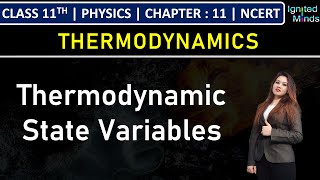 Class 11th Physics | Thermodynamic State Variables | Chapter 11: Thermodynamics | NCERT