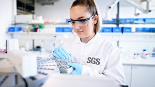 SGS unifies the experience for 100,000 employees in 118 countries | Workday