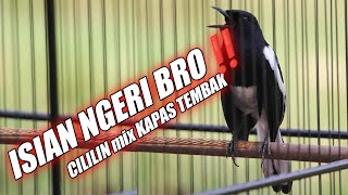 Download lagu AWAS‼️ JANGAN COBA DENGARKAN 😱😱 ISIAN KAPAS TEMBAK MIX CILILIN DIBAWAIN KACER mp3 Download lagu AWAS‼️ JANGAN COBA DENGARKAN 😱😱 ISIAN KAPAS TEMBAK MIX CILILIN DIBAWAIN KACER mp3