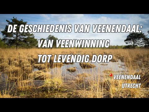 De geschiedenis van Veenendaal: Van veenwinning tot levendig dorp