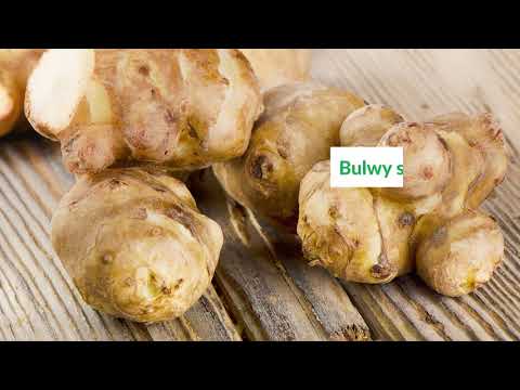 Jak uprawiać topinambur, czyli słonecznik bulwiasty?