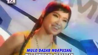 Download lagu Erwin Mareta - Akal Bulus [ ] mp3