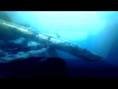 Finding Handles Part 11 The Cave