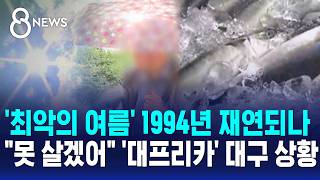 최악의 여름' 1994년 재연되나..